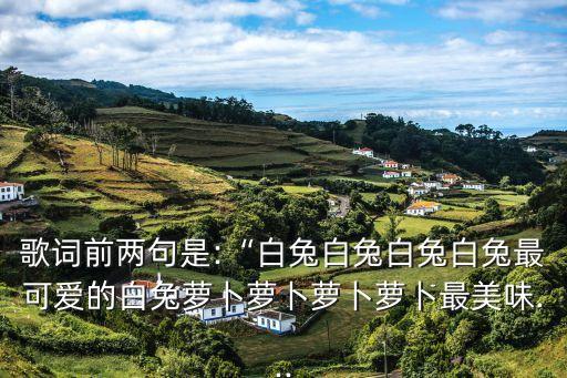 兔气扬眉少儿舞蹈,舞蹈兔气扬眉作品分析