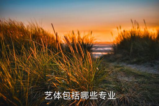 舞蹈和艺体,舞蹈艺体生可以进哪些本科大学