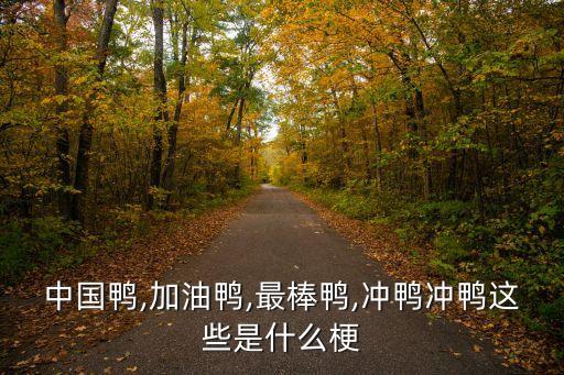 加油鸭广场舞蹈视频,幼儿园加油鸭幼儿舞蹈视频