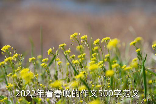 海底视频舞蹈慢动作,海底舞蹈视频完整版教程