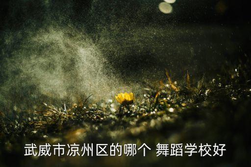 舞蹈分校,slzdance舞蹈分校