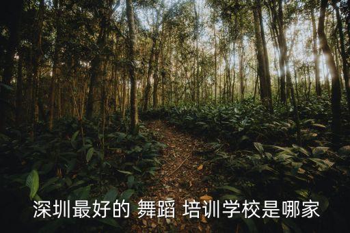 深圳知名舞蹈培训机构,广州10大知名舞蹈培训机构