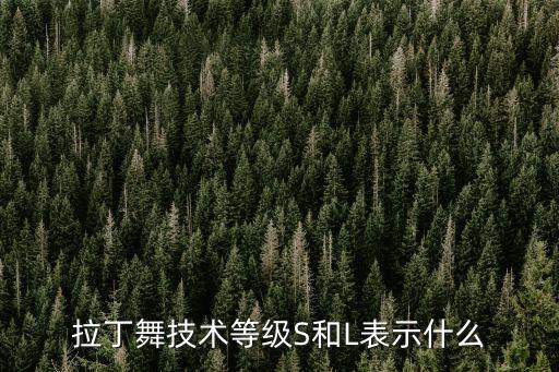 世界体育舞蹈wdsf