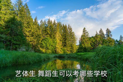 有舞蹈和美术的大学,舞蹈生和美术生可以在一所大学吗