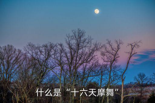 雁之舞队舞蹈,广场舞舞蹈队简介怎么写