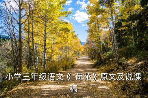 舞蹈荷花视频教程,荷花折纸视频教程大全