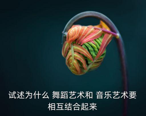 音乐是舞蹈的,舞蹈音乐