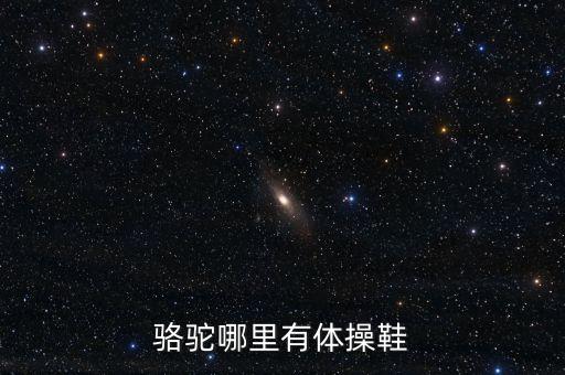 49元广场舞蹈鞋,广场舞蹈鞋什么牌子最好