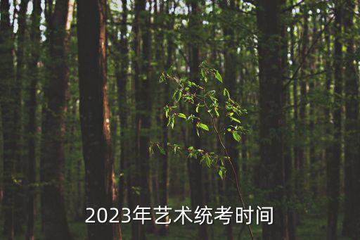 舞蹈艺体考试考什么时候,舞蹈教师资格证什么时候考试