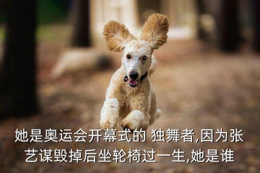 北京独舞舞蹈大赛,cctv舞蹈大赛女子独舞