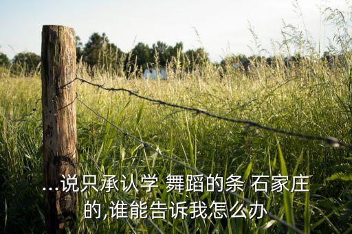 石家庄舞蹈考级