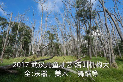 武汉汉口舞蹈培训基地,武汉227舞蹈汉口地址