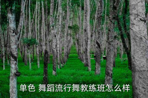 单色舞蹈很专业