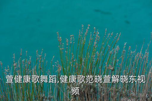 范晓萱健康歌舞蹈,健康歌范晓萱解晓东视频