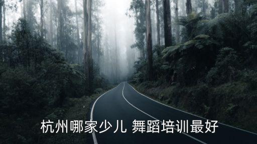 杭州 舞蹈 加盟,杭州舞蹈艺考培训哪家最好