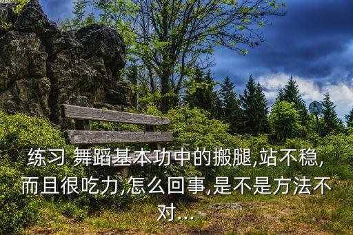 舞蹈下盘