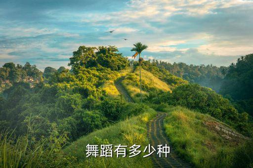 一共有几个舞蹈,舞蹈的方向一共有几个点