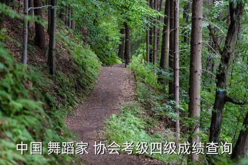 中国舞蹈家协会考试
