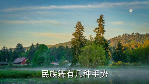 舞蹈中慌手的基本动作