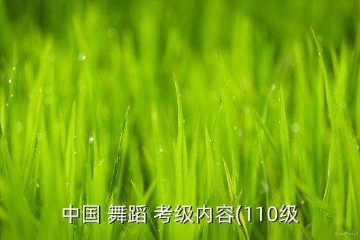 考级舞蹈七级练字谣词,舞蹈考级费用怎么收费标准2023