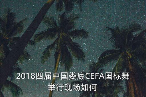 体育舞蹈公开赛职业组,三亚第十三届体育舞蹈公开赛