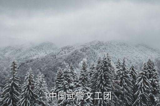 刘畅 舞蹈,刘畅舞蹈观后感第一期视频