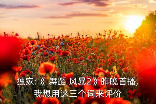 舞蹈风暴中国舞美的赏析