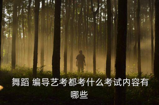 现编舞蹈编导,舞蹈编导专业就业方向