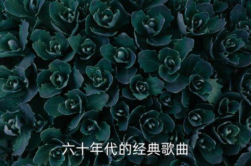 桂花开发幸福来舞蹈,桂花花开幸福来歌曲歌词