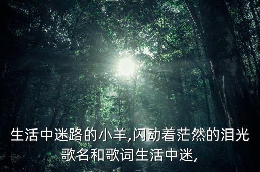 基督教舞蹈好多的羊