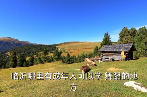 临沂专业舞蹈学校,临沂舞蹈学校哪家好兰山区