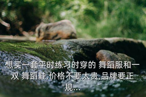 舞蹈鞋中国舞的舞蹈鞋