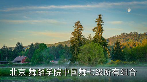 考6级中国舞蹈全部视频,中国舞蹈考多少级