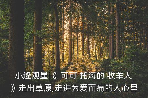 舞蹈可可托海牧羊人教学版,原创舞蹈可可托海的牧羊人