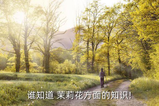 美国茉莉花舞蹈,茉莉花舞蹈视频完整版少儿