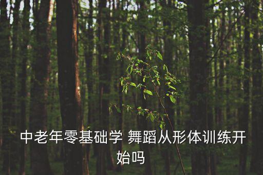 新舞蹈中老年,舞蹈中老年哥已不是当年的哥