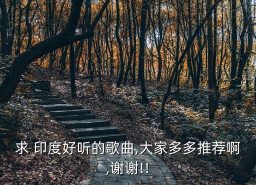 印度之夜舞蹈的音乐,印度小星星舞蹈七级音乐