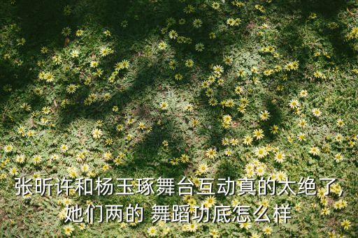 舞蹈 女子双人舞,舞蹈剧目女子双人舞视频简单