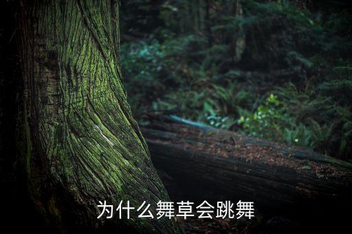 含羞草的舞蹈动作
