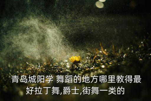 青岛 成人舞蹈,青岛成人舞蹈机构哪家比较好