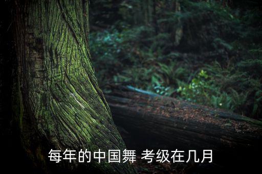 十一级舞蹈考级