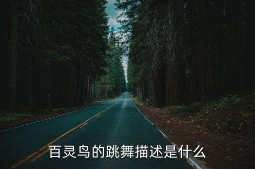 白羽毛舞蹈