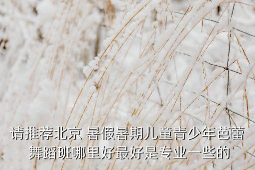 舞蹈暑假班