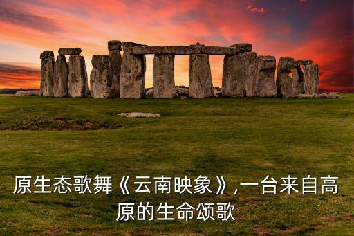 彝族舞蹈 烟盒舞