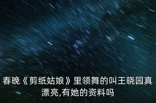 荷花奖舞蹈在重庆演出,重庆南方艺术团演出的舞蹈
