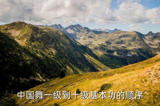 舞蹈9级动作(压腿),舞蹈基本功把杆压腿动作要领