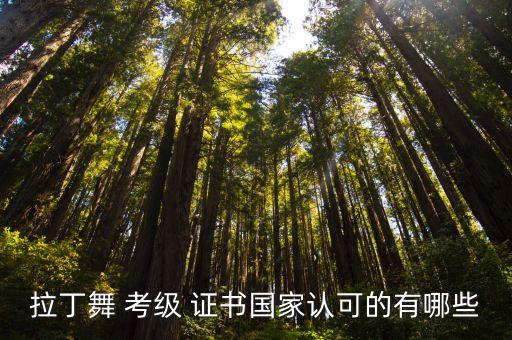 体育舞蹈考级证书,中国体育舞蹈联合会考级证书含金量