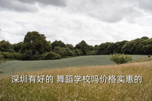 深圳舞蹈机构有哪些内容