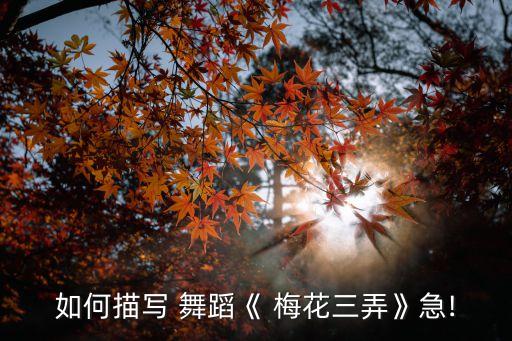 舞蹈梅花视频分解动作,梅花泪分解动作 视频教学