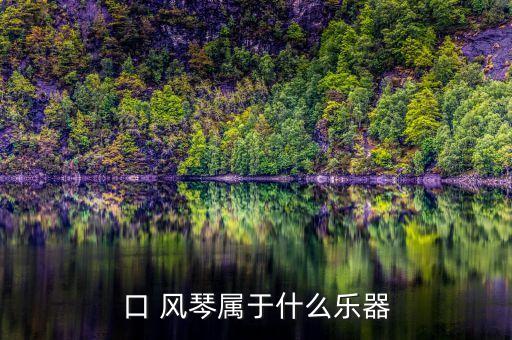 角风琴是哪种舞蹈伴奏